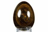 Polished Tiger's Eye Egg - South Africa #312674-1